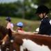 Proteges and their horses in a line after judging during the Washtenaw County 4-H Youth Show on Sunday, July 28. Daniel Brenner I AnnArbor.com